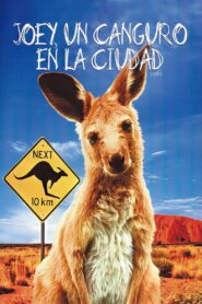 Joey – 1997 – Online In Netflix