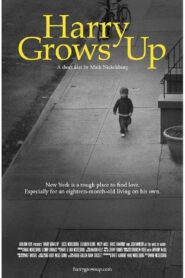 Harry Grows Up – 2012 – Online In Netflix
