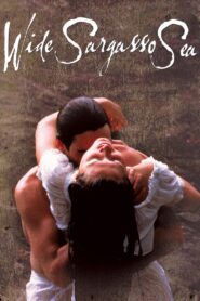 Wide Sargasso Sea – 1993 – Online In Netflix