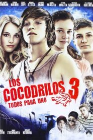 Vorstadtkrokodile 3 – 2011 – Online In Netflix