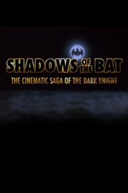Shadows of the Bat: The Cinematic Saga of the Dark Knight – 2008 – Online In Netflix