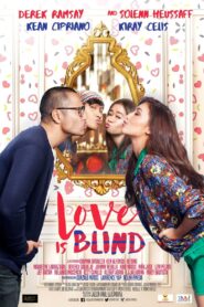 Love Is Blind – 2016 – Online In Netflix