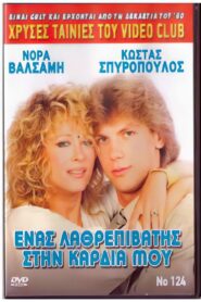 Ένας λαθρεπιβάτης στην καρδιά μου – 1988 – Online In Netflix