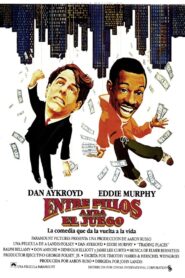 De mendigo a millonario – 1983 – Online In Netflix