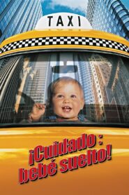 ¡Cuidado: Bebé suelto! – 1994 – Online In Netflix