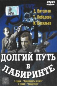 Долгий путь в лабиринте – 1981 – Online In Netflix
