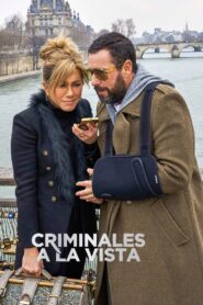 Misterio a la vista – 2023 – Online In Netflix