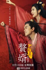 赘婿之吉兴高照 – 2021 – Online In Netflix
