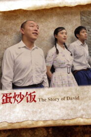 蛋炒饭 – 2011 – Online In Netflix
