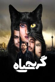 گربه سیاه – 2021 – Online In Netflix