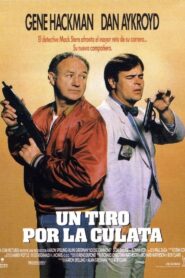 Loose Cannons – 1990 – Online In Netflix