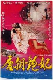 唐朝豔妃 – 1993 – Online In Netflix