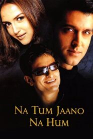 ना तुम जानो ना हम – 2002 – Online In Netflix