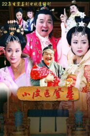 小皮匠登基 – 2003 Online gratis free Netflix
