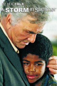 A Storm in Summer – 2000 – Online In Netflix