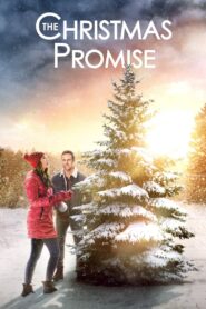 The Christmas Promise – 2021 – Online In Netflix