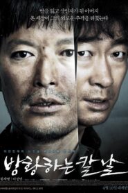 방황하는 칼날 – 2014 – Online In Netflix