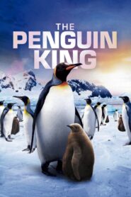The Penguin King – 2012 – Online In Netflix