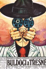 Buldoci a třešně – 1981 – Online In Netflix