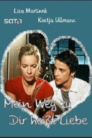 Mein Weg zu dir heißt Liebe – 2004 – Online In Netflix