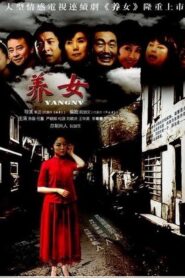 养女 – 2012 Online gratis free Netflix