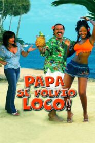 Papá se volvió loco – 2005 – Online In Netflix