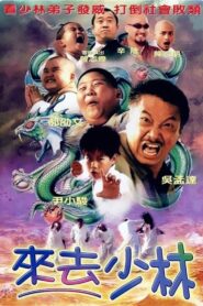 来去少林 – 2003 – Online In Netflix