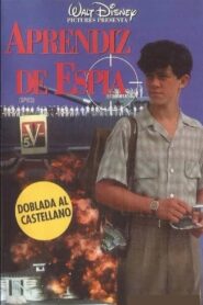 Spies – 1993 – Online In Netflix