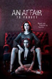 An Affair to Forget – 2022 – Online In Netflix