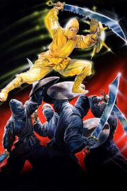 术士神传 – 1981 – Online In Netflix