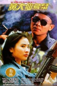 黃大仙烏鼠 – 1995 – Online In Netflix