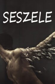 Seszele – 1991 – Online In Netflix