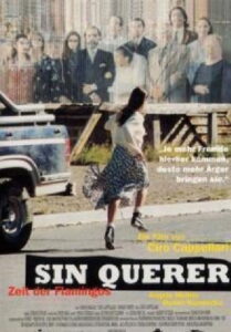 Sin querer – 1997 – Online In Netflix