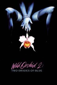 Wild Orchid II: Two Shades of Blue – 1991 – Online In Netflix