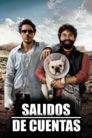 Todo un parto – 2010 – Online In Netflix