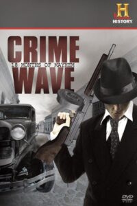 Crime Wave: 18 Months of Mayhem – 2008 – Online In Netflix