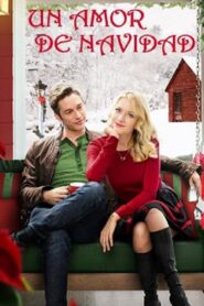 My Christmas Love – 2016 – Online In Netflix