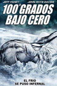 100 Degrees Below Zero – 2013 – Online In Netflix