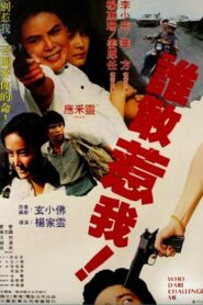 Shei gan re wo – 1981 – Online In Netflix