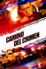 Camino de Criminal – 2018 – Online In Netflix
