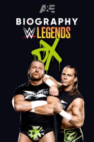 Biography: D-Generation X – 2022 – Online In Netflix