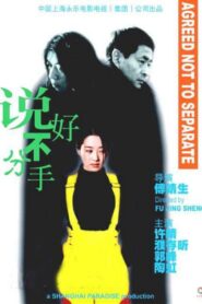 说好不分手 – 1999 – Online In Netflix