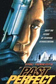 Past Perfect – 1996 – Online In Netflix