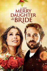 A Very Merry Daughter of the Bride – 2008 – Online In Netflix