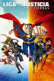 Liga de la Justicia: Crisis en las dos tierras – 2010 – Online In Netflix