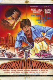 La Tumba Del Mojado – 1985 – Online In Netflix