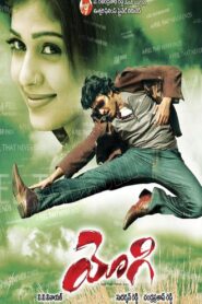 యోగి – 2007 – Online In Netflix