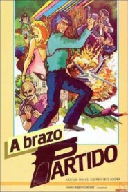 The One-Armed Executioner – 1983 – Online In Netflix