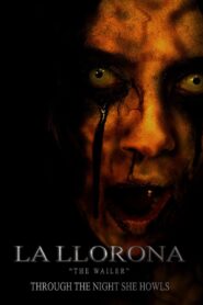 The Wailer – 2006 – Online In Netflix