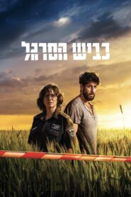 כביש הסרגל – 2024 – Online In Netflix
